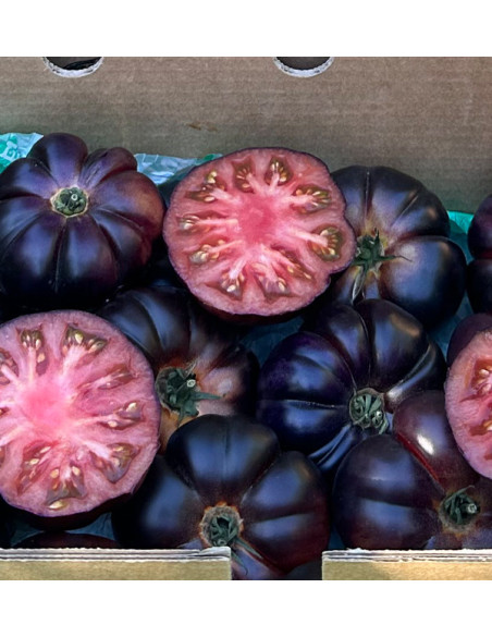 Buy Blue Tomato Online at Tropitop