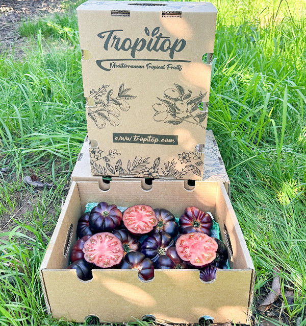 Blauen Tomaten Online bei Tropitop Kaufen