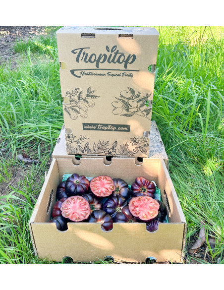 Comprar Tomate Azul Online en Tropitop