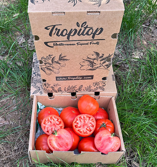 Acquista Pomodoro Cuore di Bue Online su Tropitop