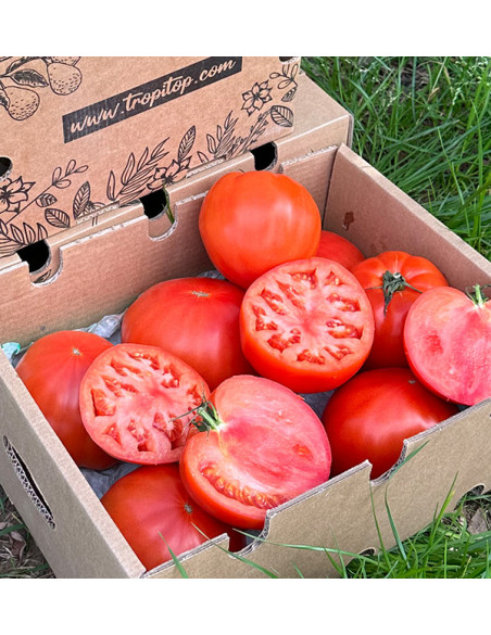 Comprar Tomate Corazón de Buey Online en Tropitop