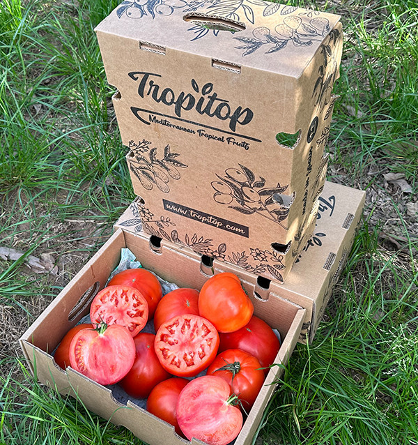 Acquista Pomodoro Cuore di Bue Online su Tropitop