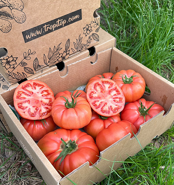 Comprar Tomate Rosa Online en Tropitop