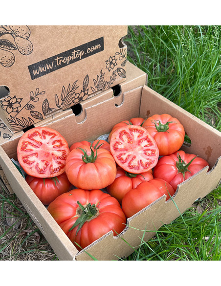 Acheter Tomate Rose en Ligne sur Tropitop