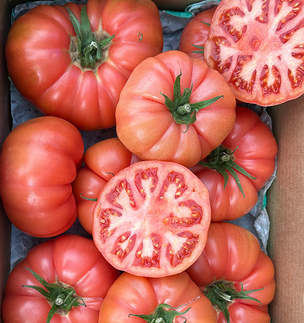 Acquista Pomodoro Rosa Online su Tropitop