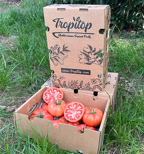 Acquista Pomodoro Rosa Online su Tropitop