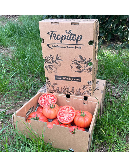 Buy Pink Tomato Online at Tropitop