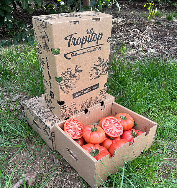 Rosa Tomaten Online bei Tropitop Kaufen