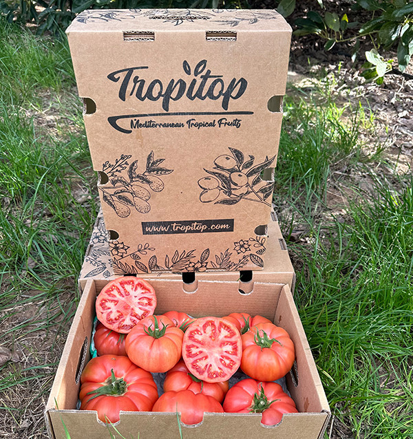 Comprar Tomate Rosa Online en Tropitop