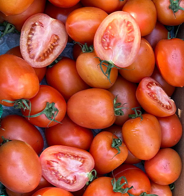 Comprar Tomate Pera Online en Tropitop