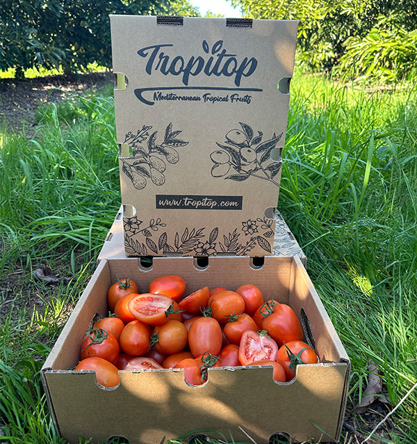 Acquista Pomodoro Pera Online su Tropitop