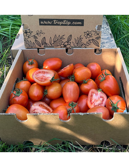 Acquista Pomodoro Pera Online su Tropitop