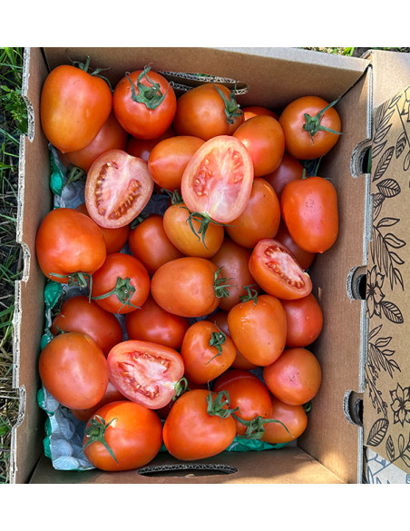 Acquista Pomodoro Pera Online su Tropitop