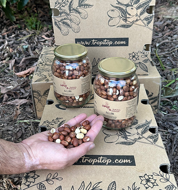 Acquistare nocciole online da Tropitop