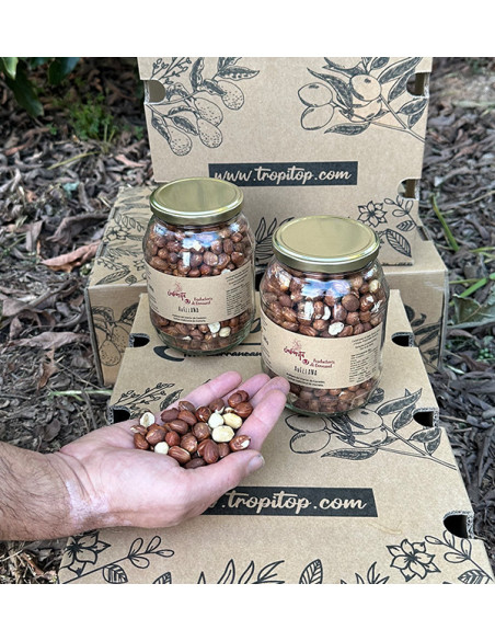 Buy hazelnuts online from Tropitop