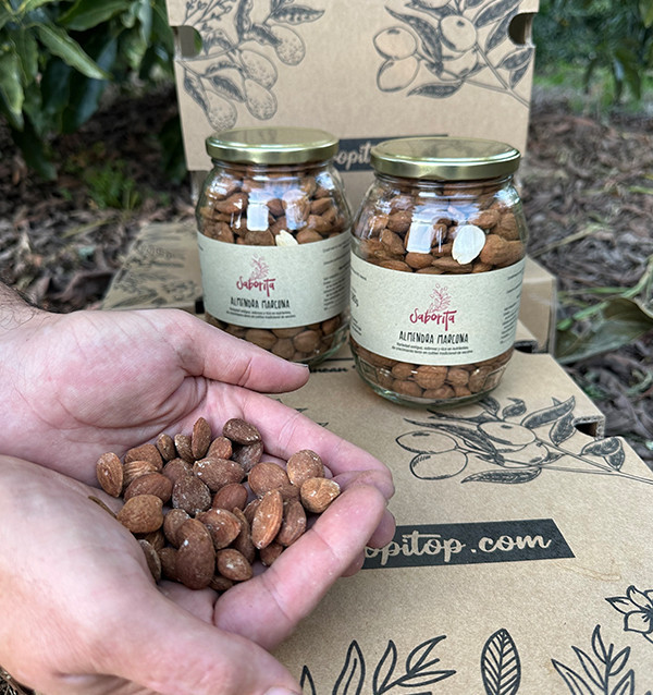 Acheter des Amandes en Ligne sur Tropitop