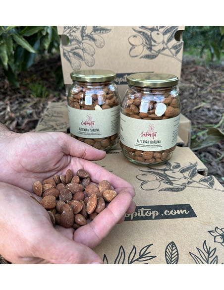 Comprar almendras online de Tropitop