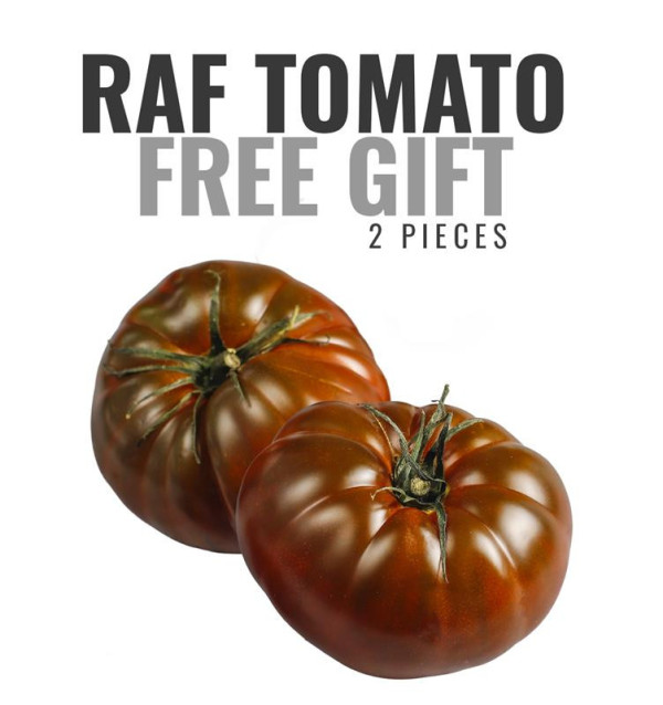 OMAGGIO: 1 kg di Arance + 1 kg di Mandarini GRATIS* 2