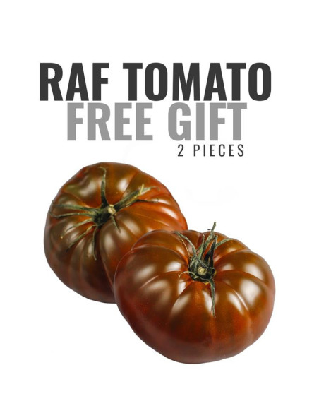 GIFT: 1 kg Oranges + 1 kg Mandarins FREE*