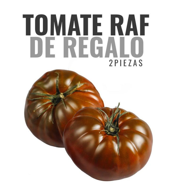 OFERTA: 1 kg de Laranjas + 1 kg de Tangerinas GRÁTIS*