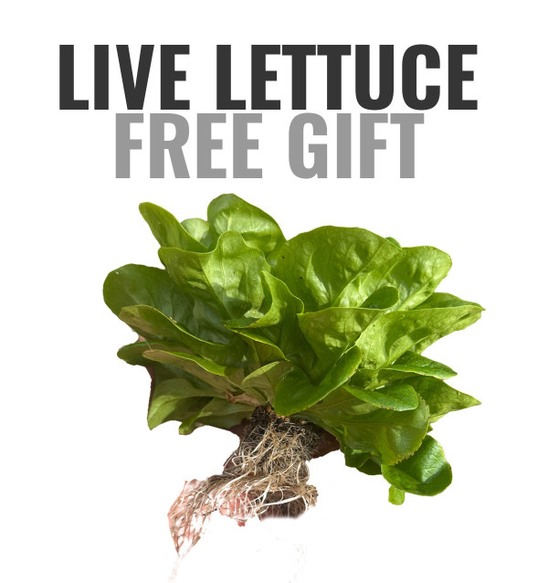 GIFT: 1 kg Oranges + 1 kg Mandarins FREE*