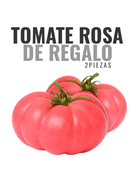 GESCHENK: 1 kg Orangen + 1 kg Mandarinen GRATIS*