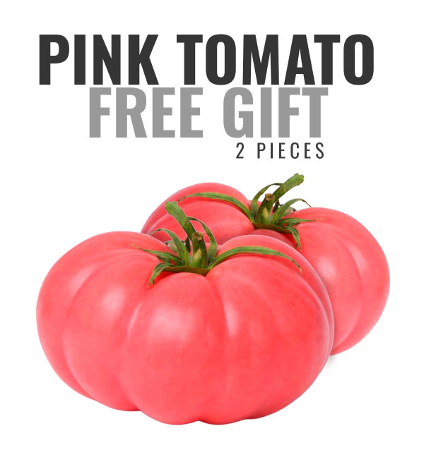 GESCHENK: 1 kg Orangen + 1 kg Mandarinen GRATIS*