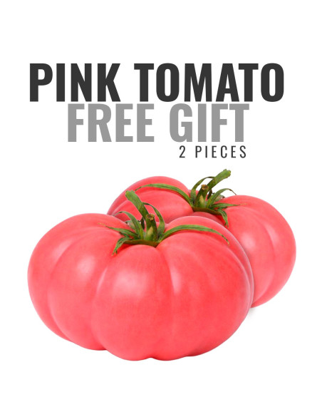 GIFT: 1 kg Oranges + 1 kg Mandarins FREE*