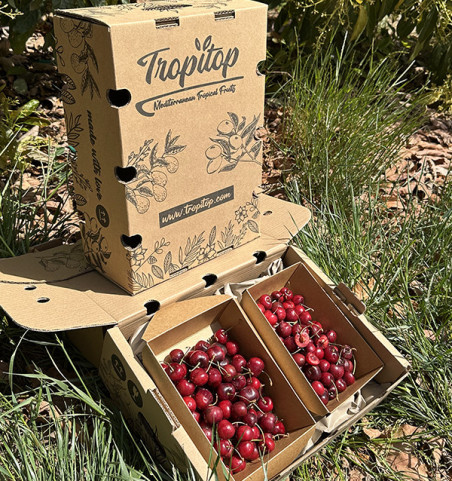Kirschen Online Kaufen bei Tropitop | Frische Kirschen aus Castellón
