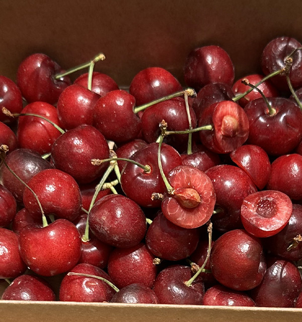 Comprar Cerezas Online en Tropitop | Cerezas Frescas de Castellón
