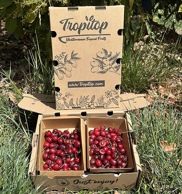 Acheter des Cerises en Ligne sur Tropitop | Cerises Fraîches de Castellón