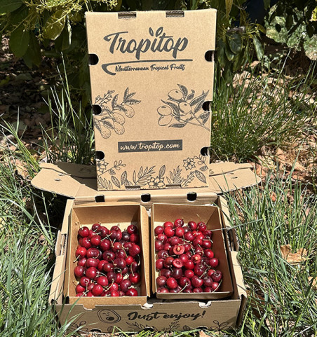 Buy Cherries Online at Tropitop | Fresh Cherries from Castellón