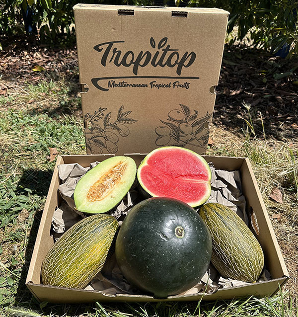 Sandía y Melones Piel de Sapo - nombre: Sandía negra + 2 melones