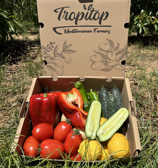 Pack Gazpacho Tropitop | Ingredientes para Gazpacho Casero 2