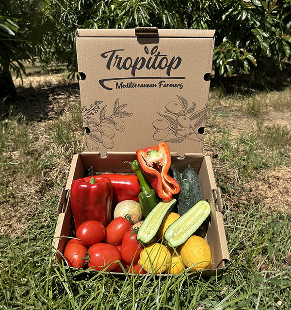 Tropitop Gazpacho-Pack | Zutaten für hausgemachtes Gazpacho