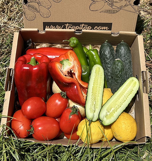 Tropitop Gazpacho-Pack | Zutaten für hausgemachtes Gazpacho