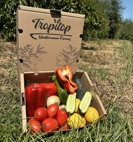 Pack Gazpacho Tropitop | Ingredientes para Gazpacho Casero