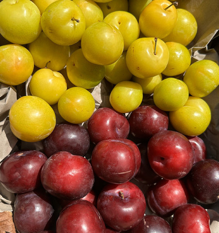 Pack Ciruela Amarilla y Negra | Comprar Ciruelas Online