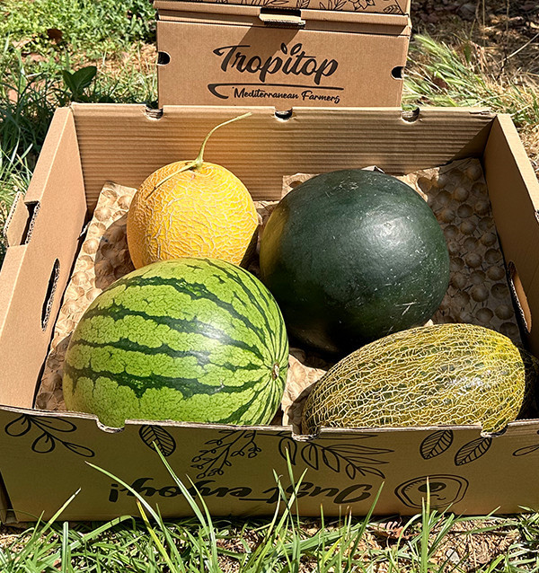 Watermelon and Melon Pack | Buy summer fruit online
