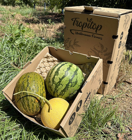 Pack Sabor de Verano | Sandía y Melones Online