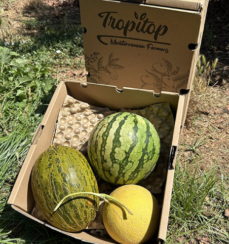 Pack Saveur d’Été | Pastèque et Melons en Ligne