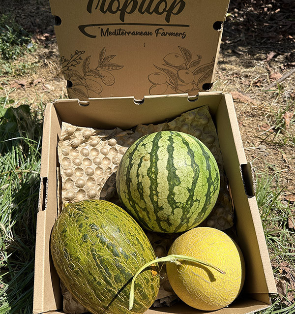 Pack Sabor de Verano | Sandía y Melones Online
