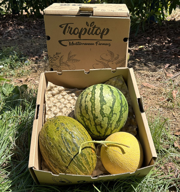 Pack Sabor de Verano | Sandía y Melones Online