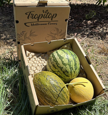 Pack Sabor de Verano | Sandía y Melones Online