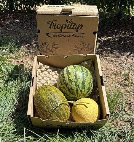 Sommergeschmack-Pack | Wassermelone und Melonen Online