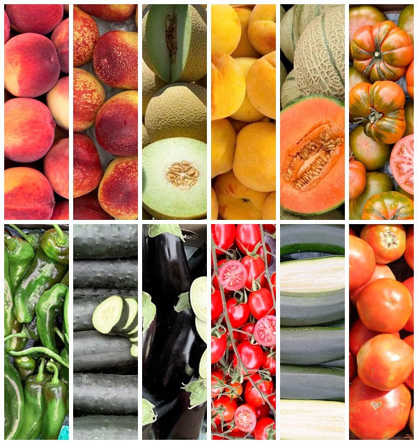 Comprar Caixa de Frutas e Legumes da Estação Online na Tropitop 2