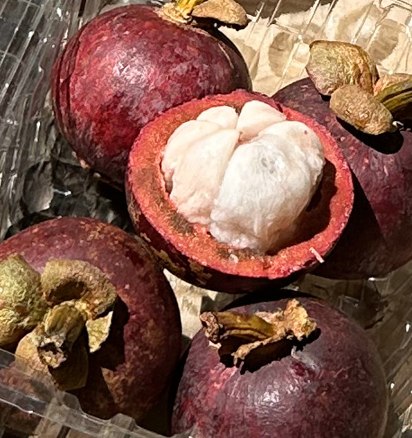 Mangostan online kaufen | Tropische Frucht aus Kolumbien | Tropitop