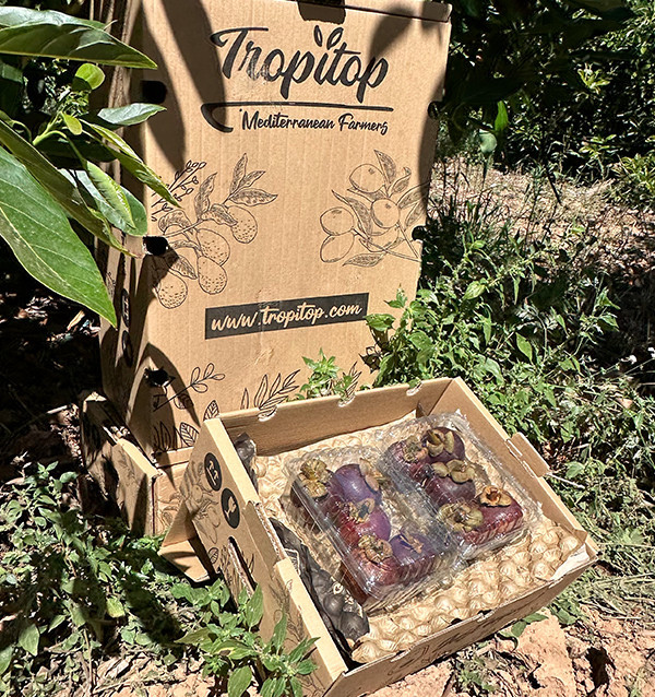 Comprar Mangostão Online | Fruta Tropical da Colômbia | Tropitop