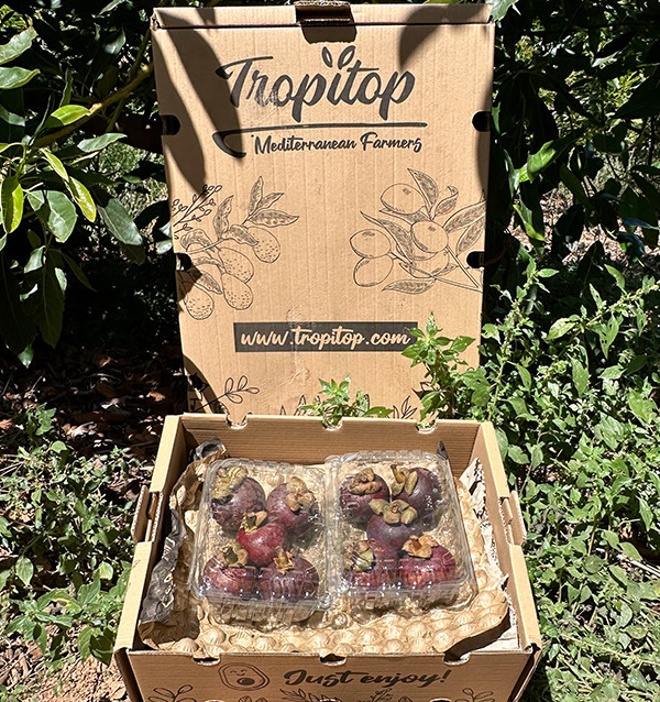 Acheter du Mangoustan en ligne | Fruit tropical de Colombie | Tropitop