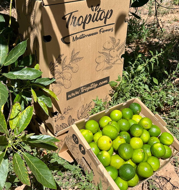 Comprar Lima Online | Tropitop 2